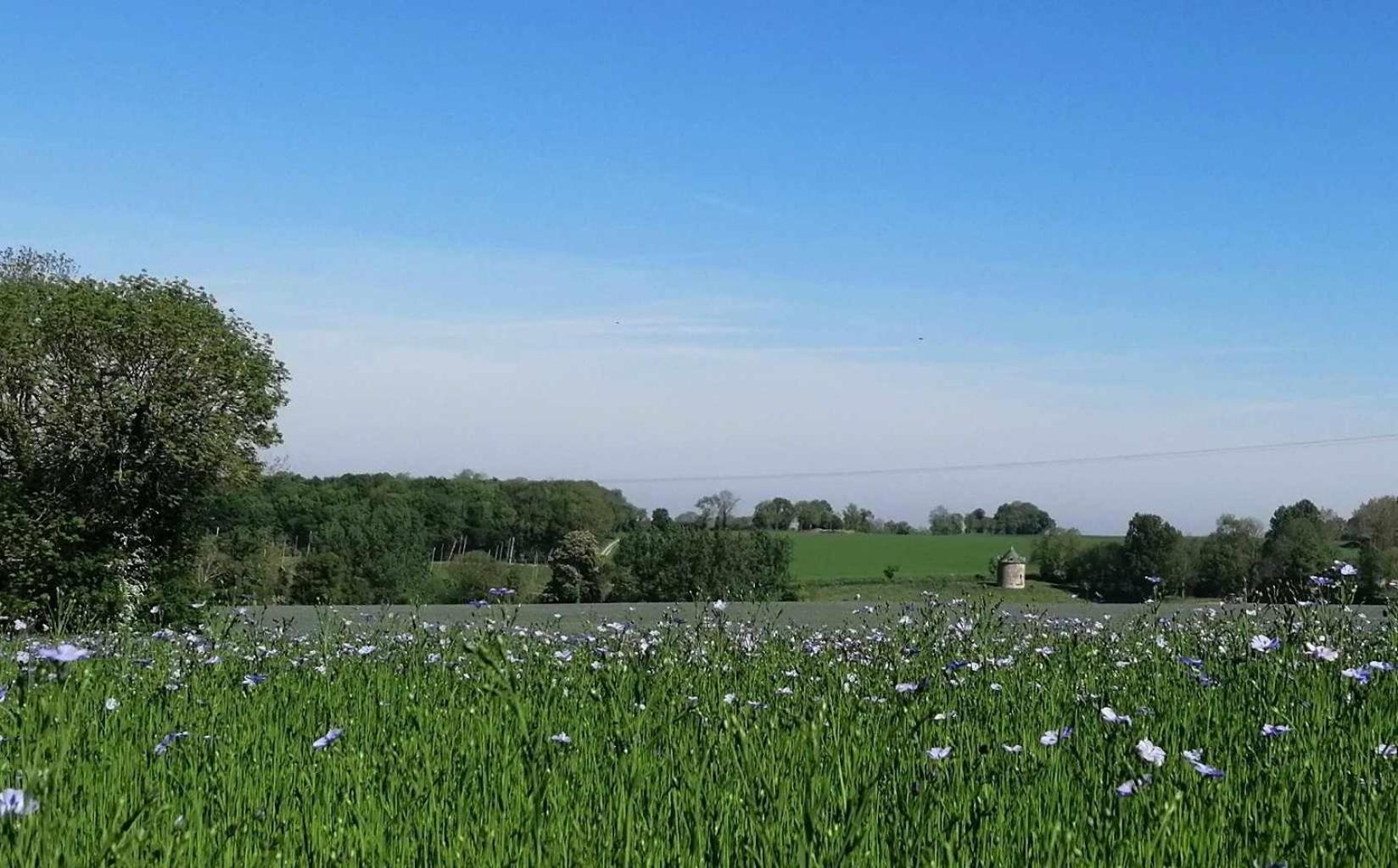 Вилла La Vieille Ferme Donnay Экстерьер фото